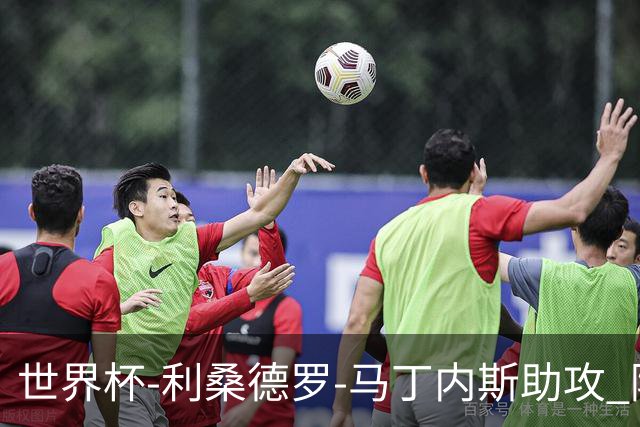 世界杯-利桑德罗-马丁内斯助攻 阿根廷半场暂1-0佛得角
