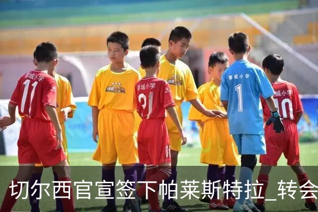 切尔西官宣签下帕莱斯特拉 转会费超5500万欧签约7年