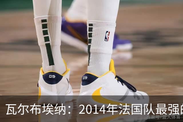 瓦尔布埃纳：2014年法国队最强的是博格巴，最被低估的是马图伊迪